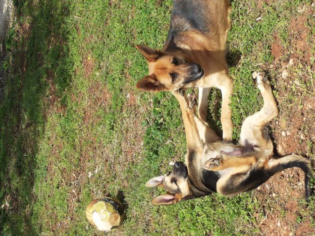 'E tra loro fu amore a prima vista' Pegghi & Chloe
