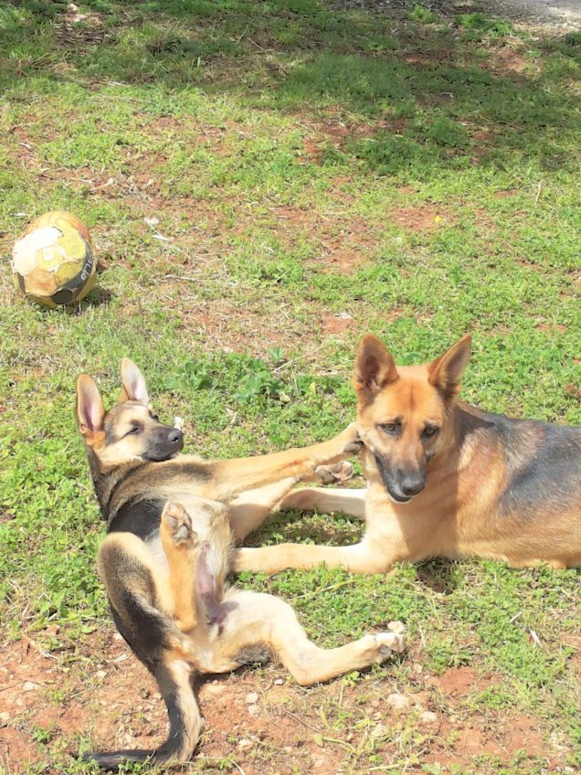 'E tra loro fu subito AMORE PURO' Pegghi & Chloe