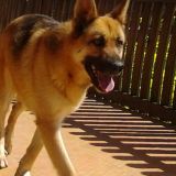 Martina