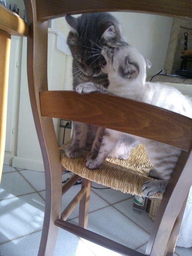 Grande, Grosso e coccolone