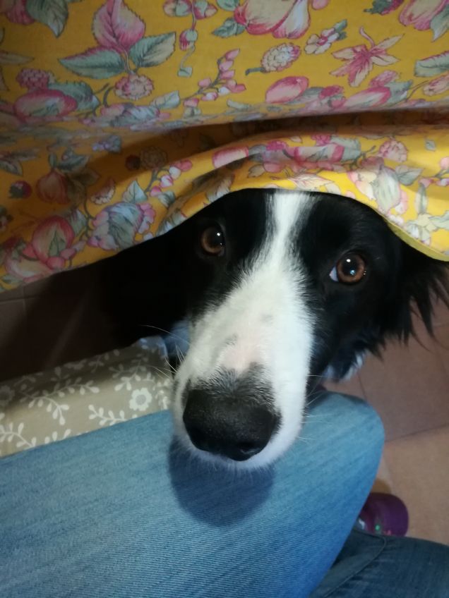 Maya col suo sguardo che ti scioglie