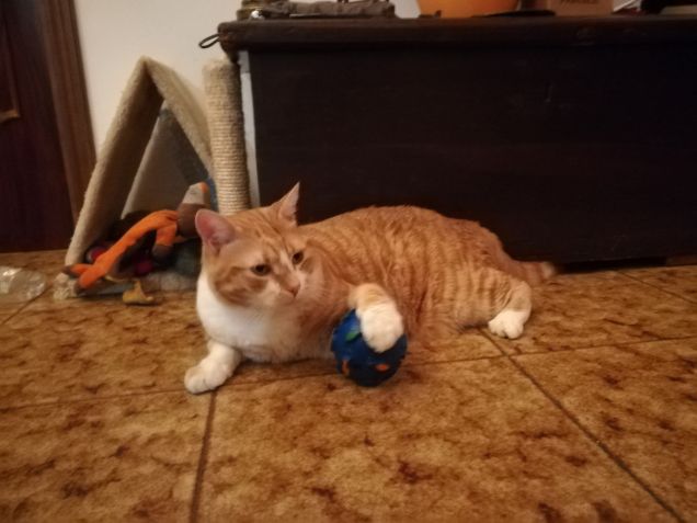 Il giocatore di calcio