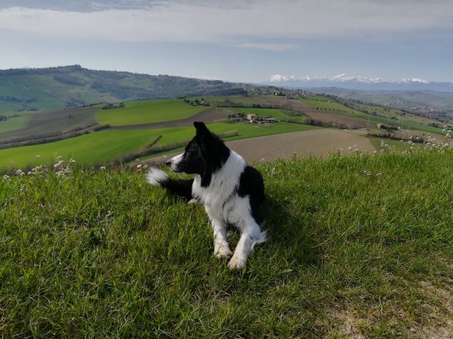 Maya in campagna