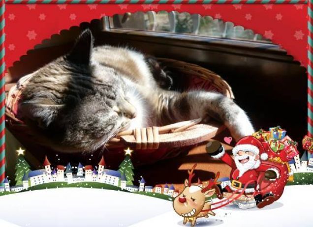 Sissi Augura Buona Natale