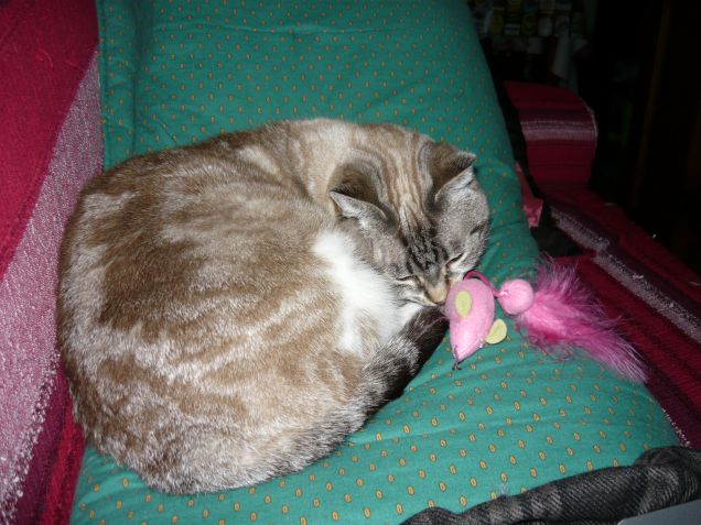 Sissi la Principessa