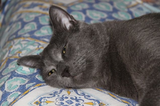 Jason rilassato e... pigrone