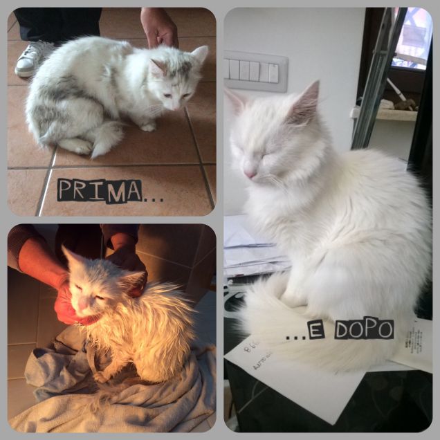 Travestimento non riuscito!