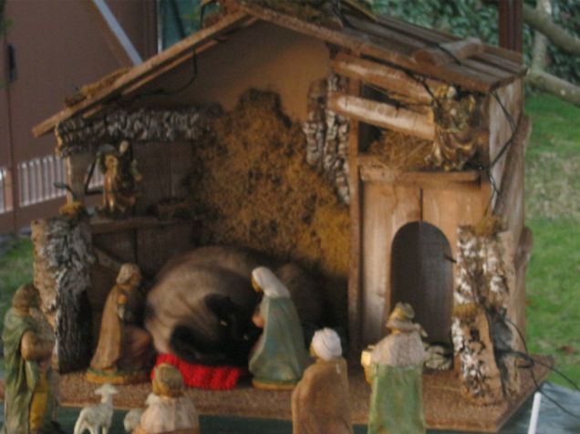 completamento presepe