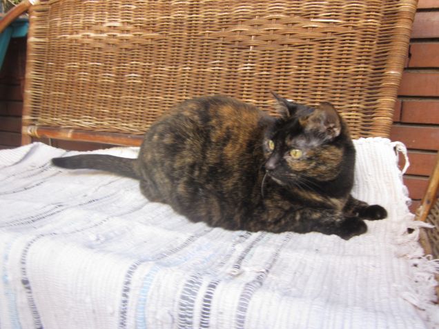 julie sul balcone di casa