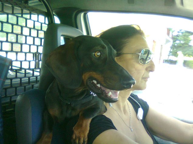 pluto e la sua mamma uguali