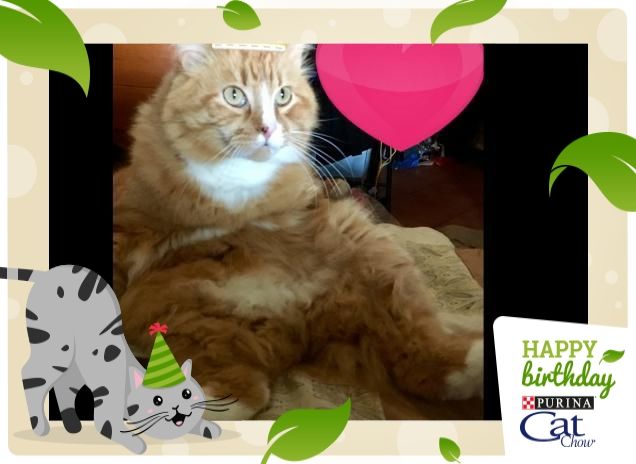 Miró è come un re!