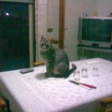 I miei ricordi passati