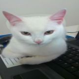  Zeus ,Dal mio primo mese di vita