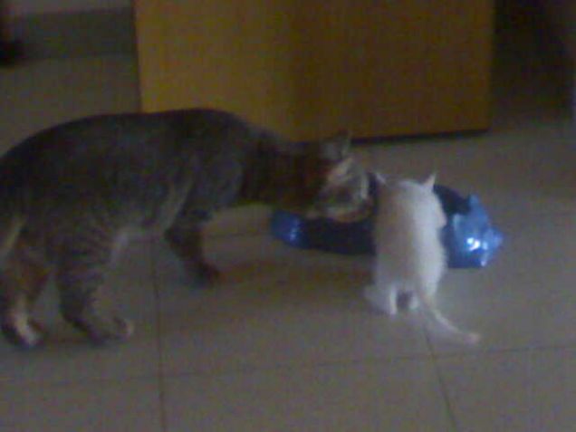 Insieme alla sorellina gelosa