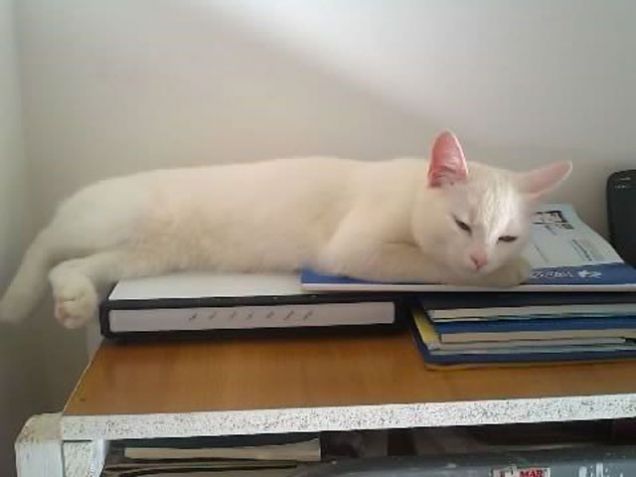 Sul modem si sta caldi