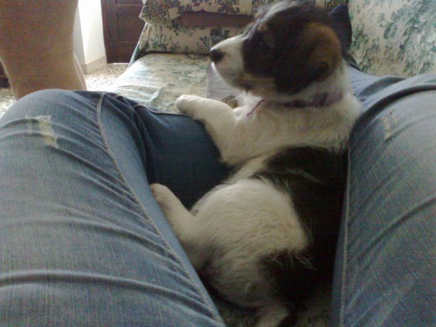 Primi giorni a casa con noi