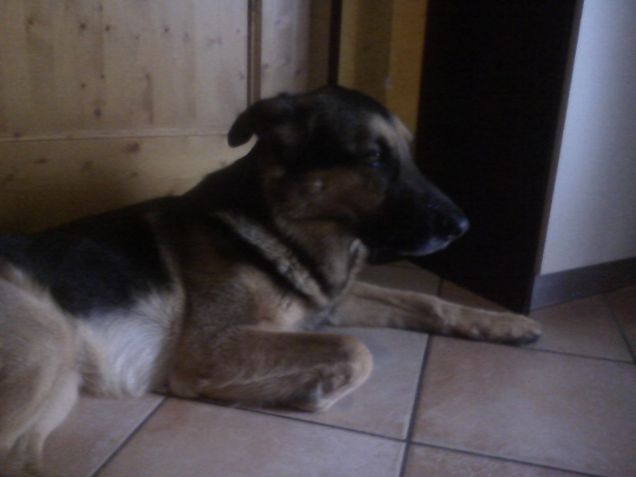 sto pensando a......