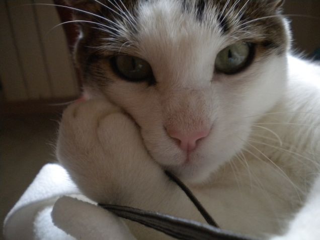 ciao a tuttiiiiiiiiii