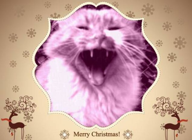 BUON NATALEEEEEEEEEEEEEEEEEEEEEEEEEEEE!