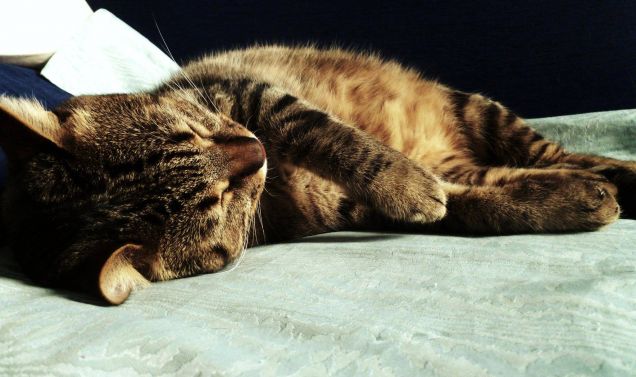 Aiabù sogna sempre di più