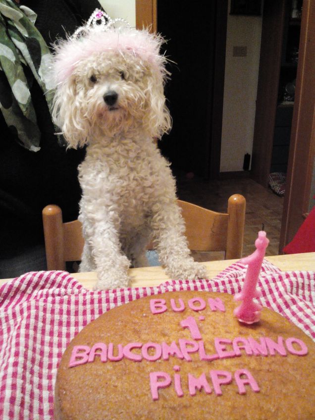 1° compleanno Pimpa