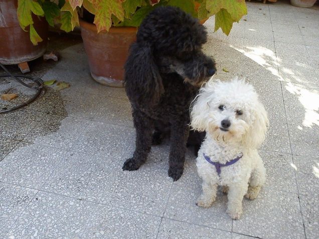 il gigante e la bambina