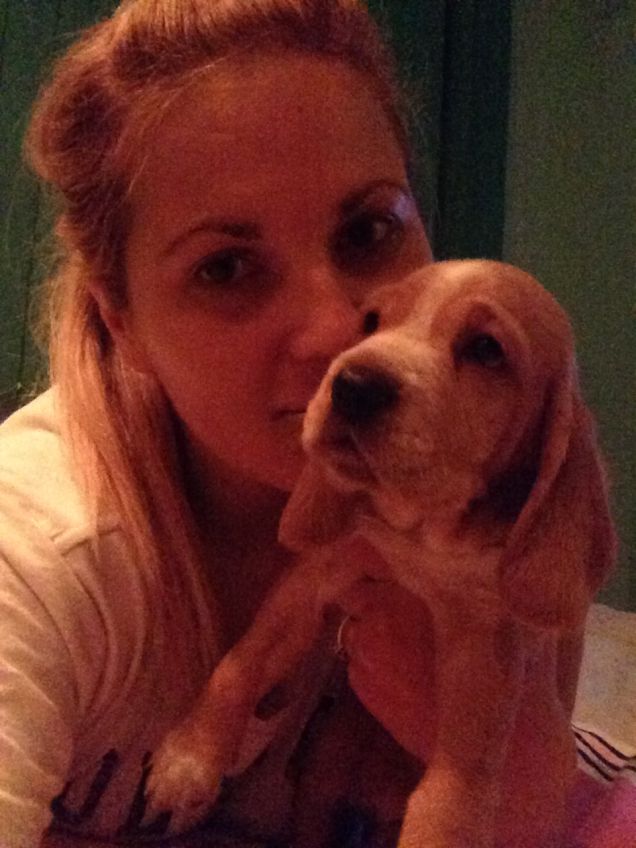 cucciolo di mio cane.