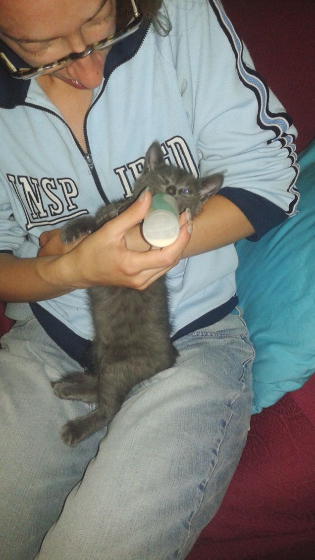 è l'ora della pappa