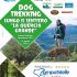 Dog Trekking Zampa5stelle