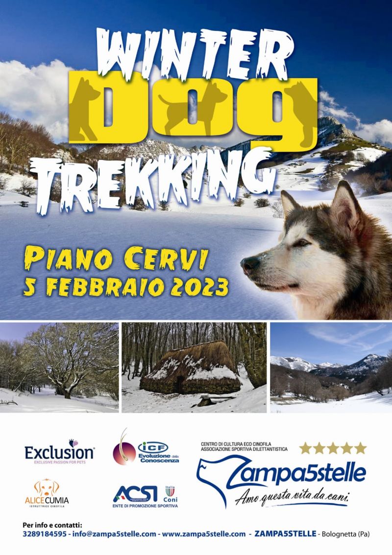 Winter Dog Trekking Zampa5stelle