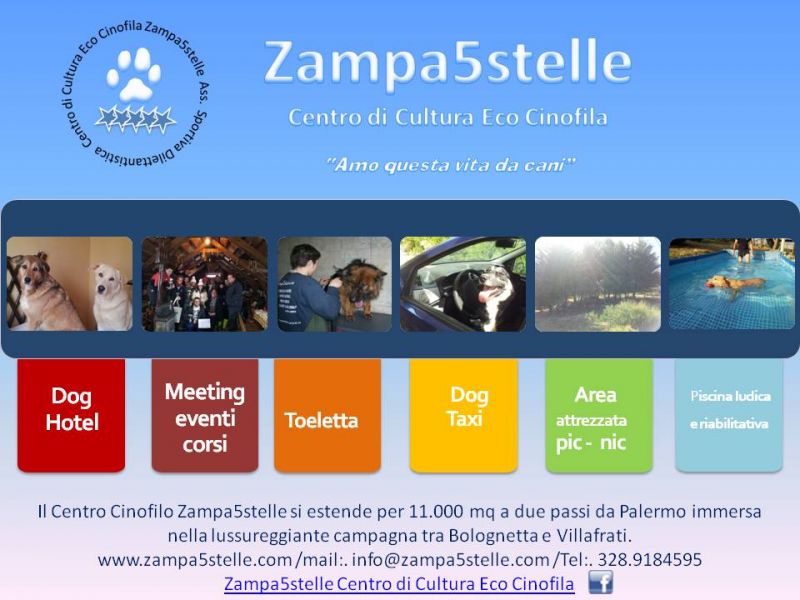 Zampa5stelle DogHotel