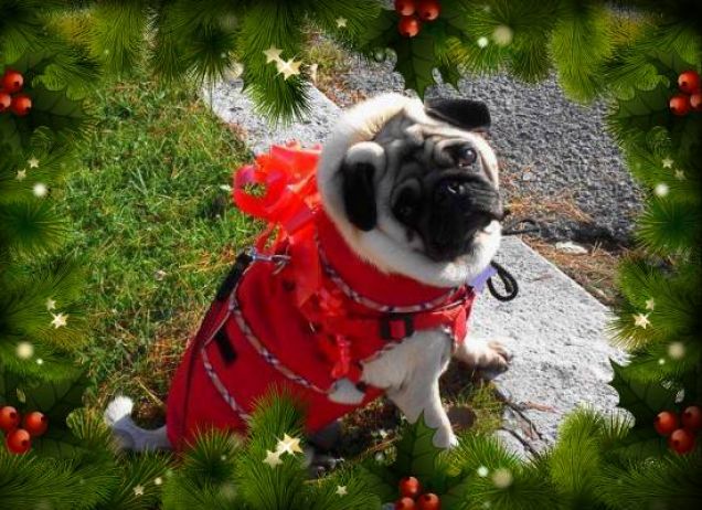 Passeggiata  Natalizia