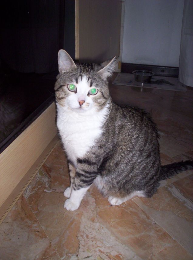 lovely in tutto il suo splendore 