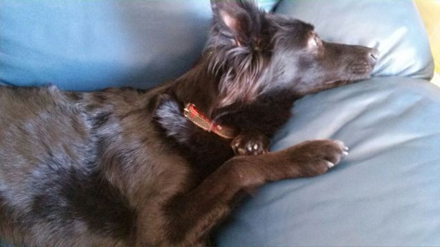 cosa state mangiando di buono???