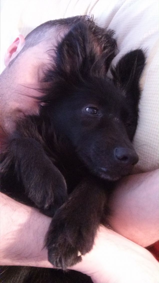 che bello stare a letto con papa'!!