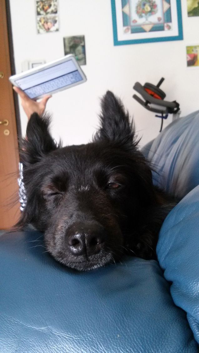 mamma ti sto osservan....