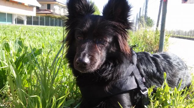 amore mio dolce e bello!!