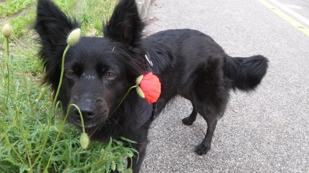 che bella la primavera!!!
