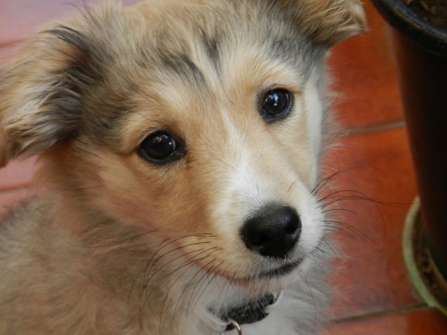 Auguri Amore ! 3 mesi oggi!!!