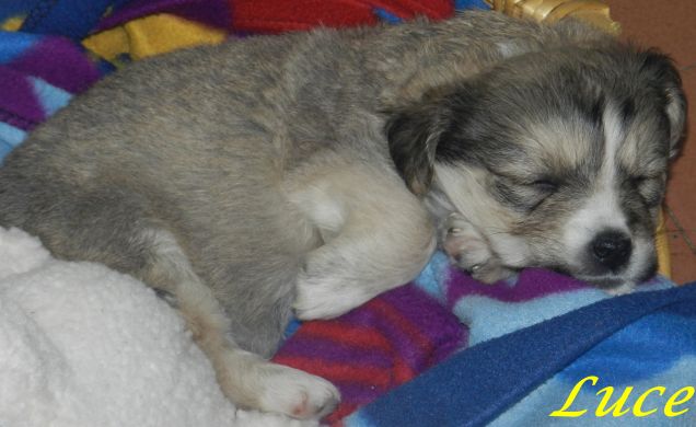 La mia piccola Luce a 2 mesi