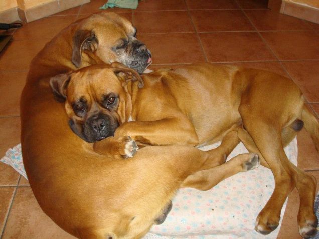 Argo con il suo papa!