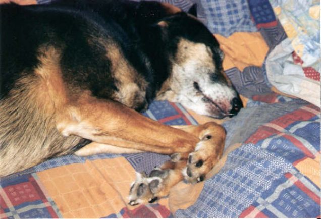 Auguri di buon Natale e un comodo 2014