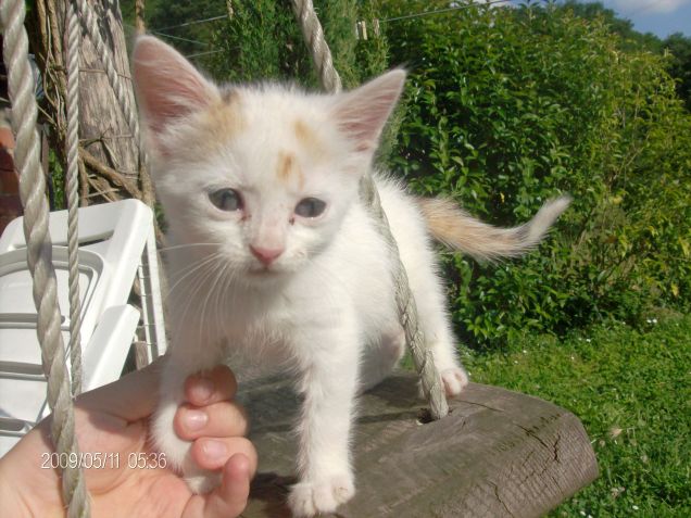 saliamo sull'altalena!!!