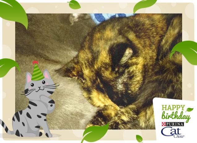 Noi intanto ci riposiamo