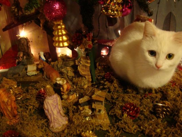 Xmas Invasion by Cycy