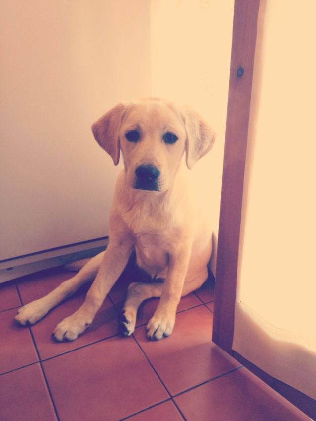 La mia piccola Glenda..