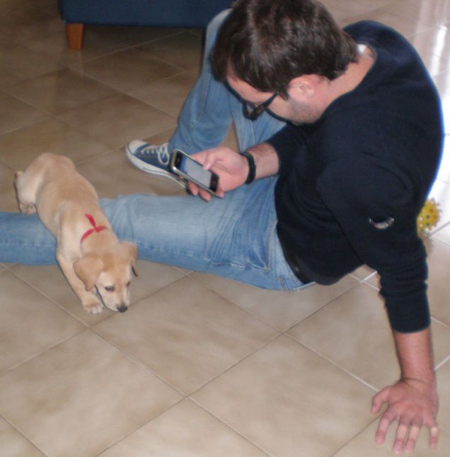 Dexter da poco arrivato a casa