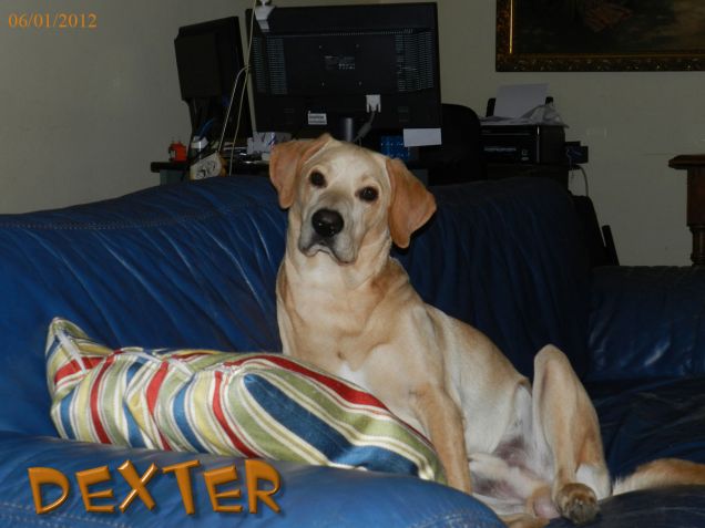 Il suo posto preferito