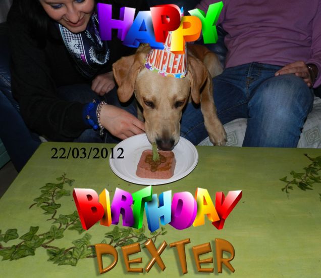 Dexter - Primo compleanno