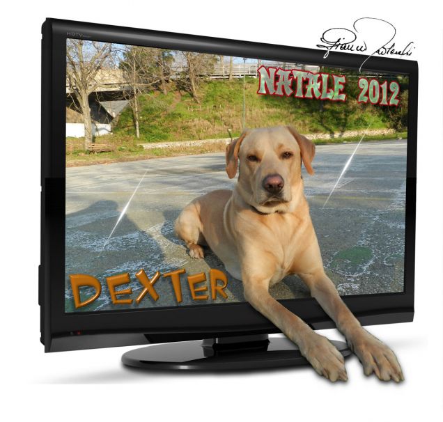 Dexter - Photo art